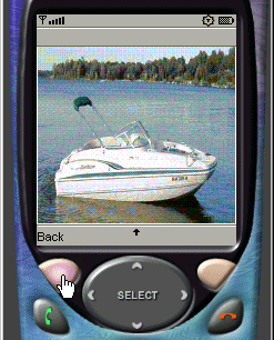 Screenshot of an example image display screen